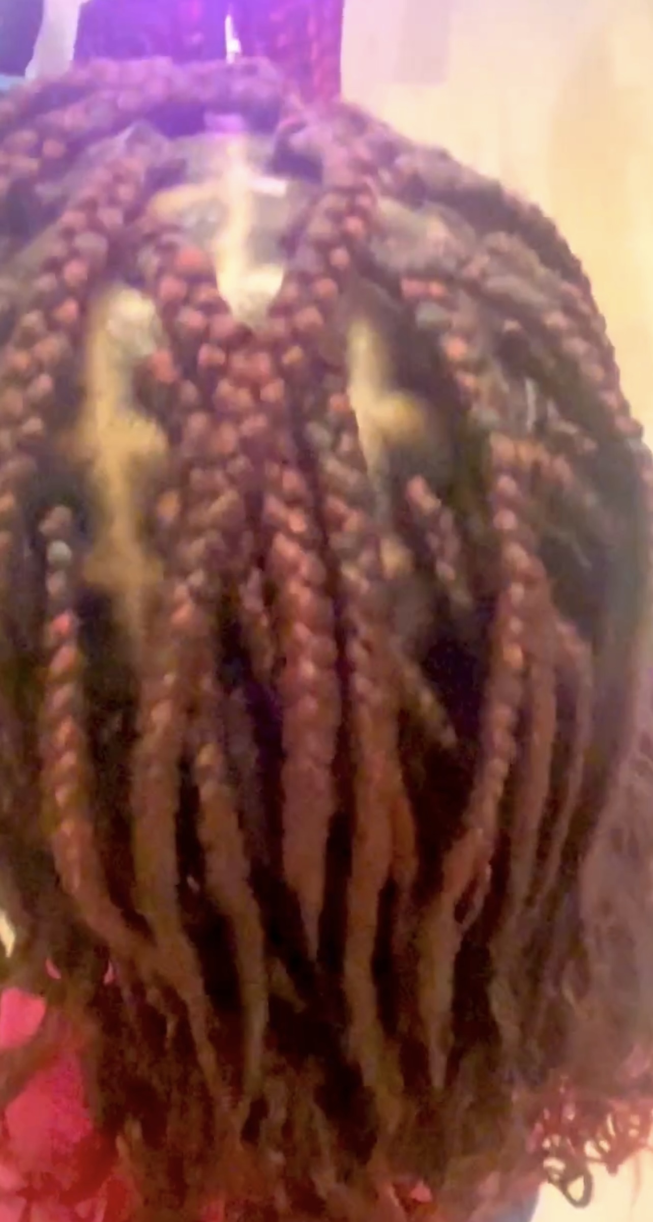 Knotless Box Braids — top view
